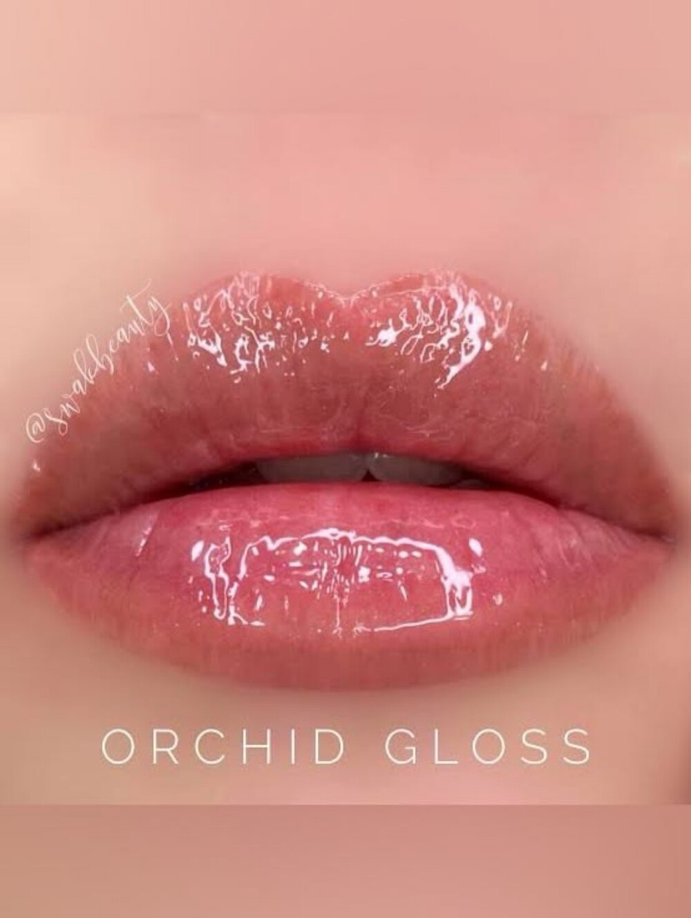 SeneGence Orchid Gloss